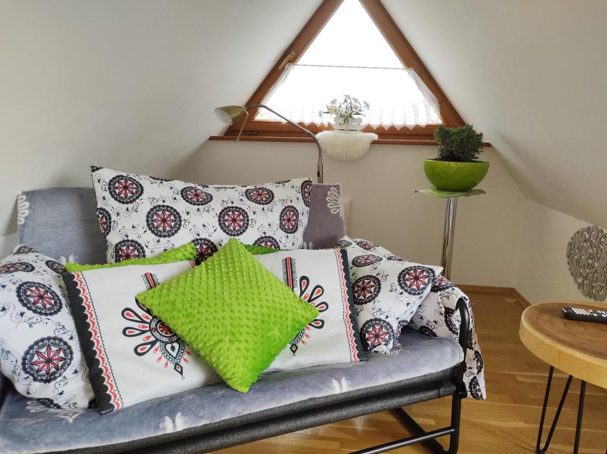 Loft Folk Apartament ザコパネ エクステリア 写真