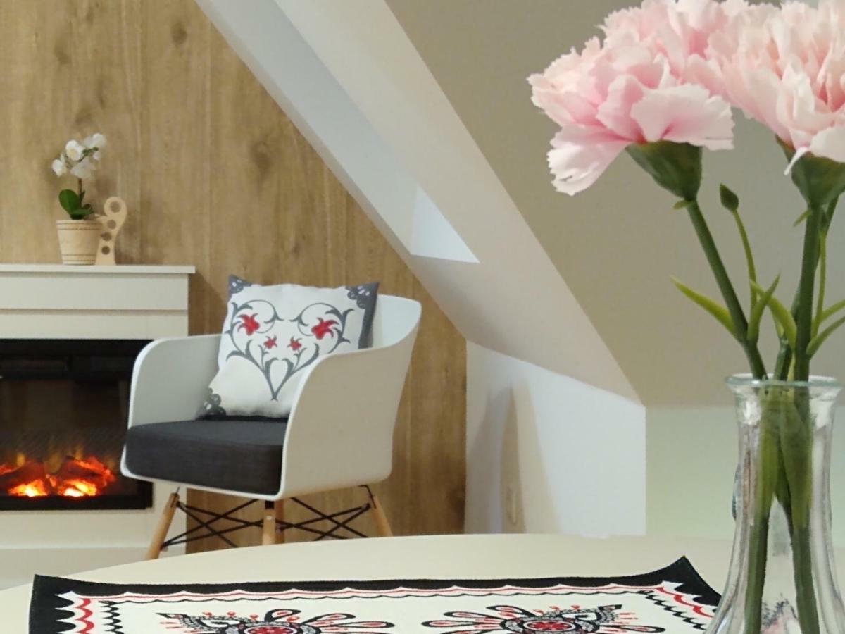 Loft Folk Apartament ザコパネ エクステリア 写真