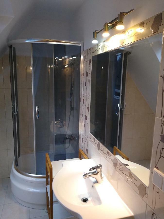 Loft Folk Apartament ザコパネ エクステリア 写真