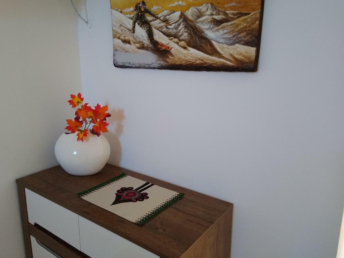 Loft Folk Apartament ザコパネ エクステリア 写真