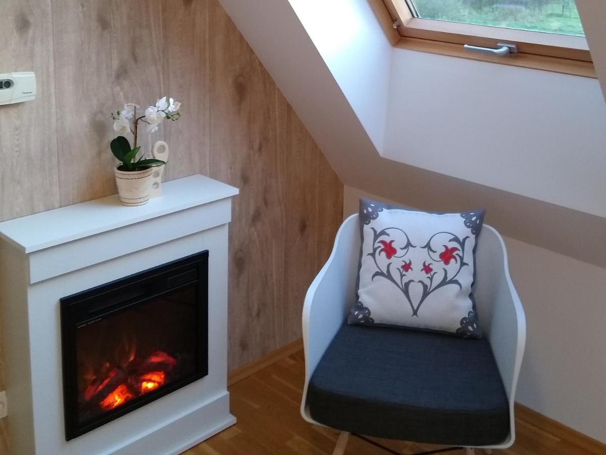 Loft Folk Apartament ザコパネ エクステリア 写真