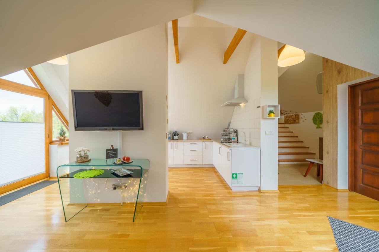 Loft Folk Apartament ザコパネ エクステリア 写真