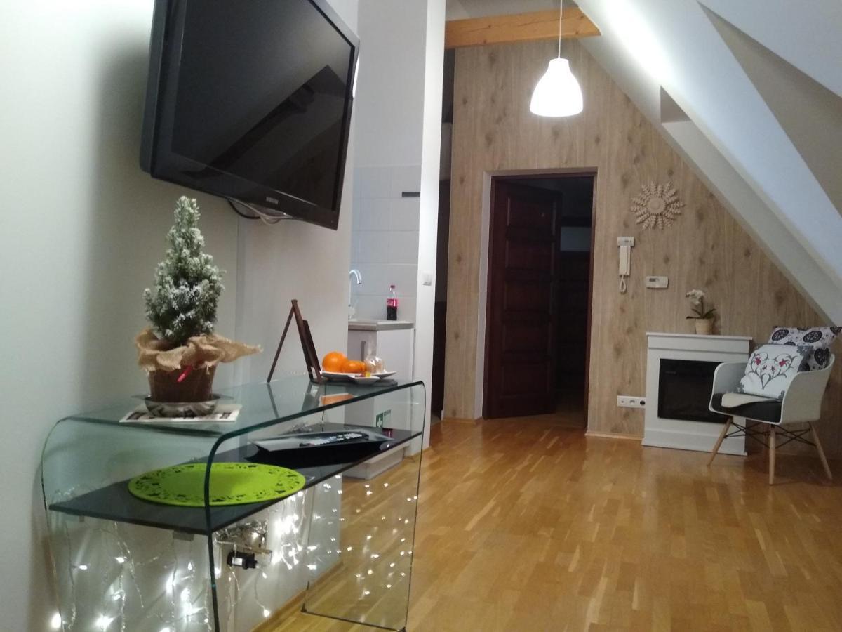 Loft Folk Apartament ザコパネ エクステリア 写真